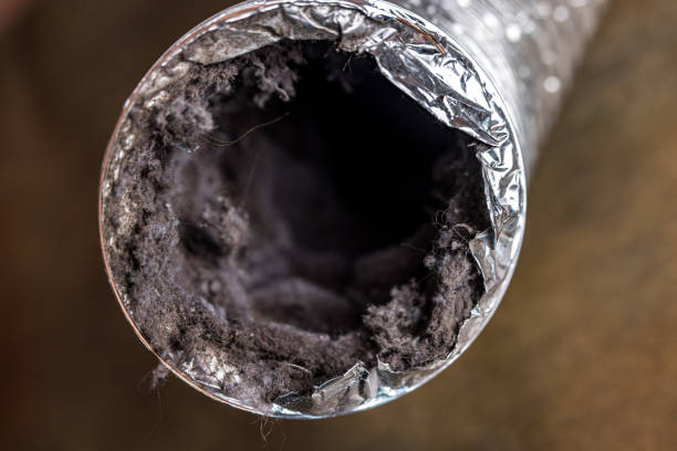 Best Local Air Duct Cleaning Services  in Wynnewood, OK